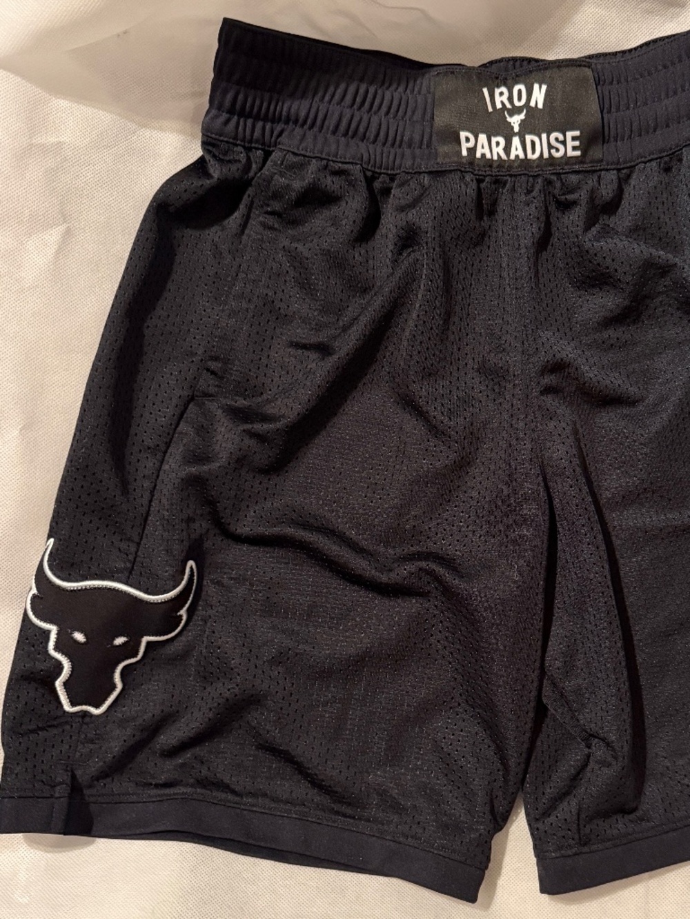 Under Armour Project Rock shorts Iron Paradise